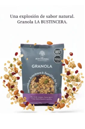 Granola La Bustincera Almendras y Arándanos 170g - Imagen 2